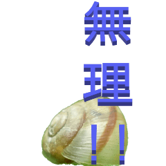 Snail to Tsukkomi-BIG