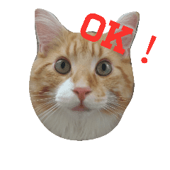 のほほん太っちょボーイズ Line スタンプ Line Store のほほん太っちょボーイズ Line スタンプ Line Store