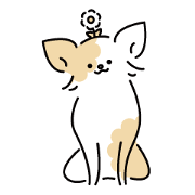 Can be used at work! Floral Chihuahua