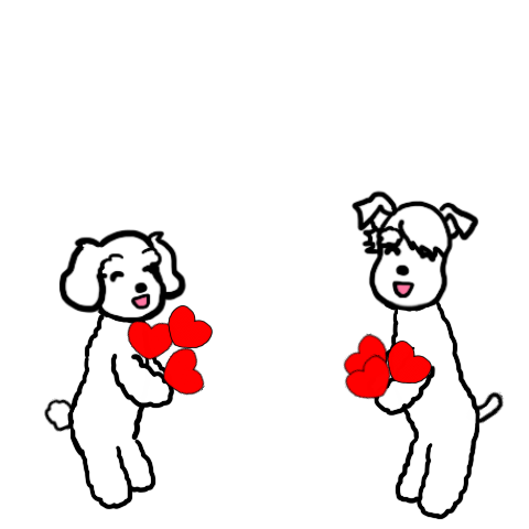 white Schnauzer: REO & RAIYA
