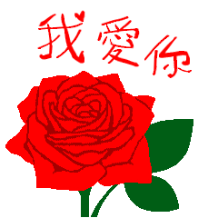 北京語・中国語/『愛してる』赤い薔薇