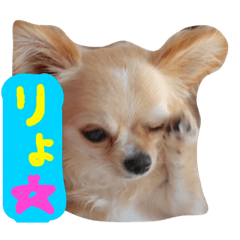Pu-chan's daily life