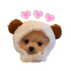 rina_20210316170424