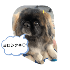 chie_20210316192849