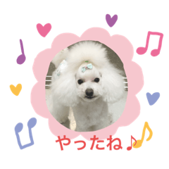 miki_20210316193509