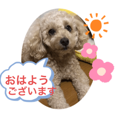 ayumi_20210316201429