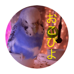 Emily_20210316204758