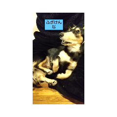 kazuki_20210317074251