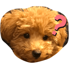 yuka_20210316211209