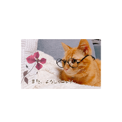 Hana_20210316211654