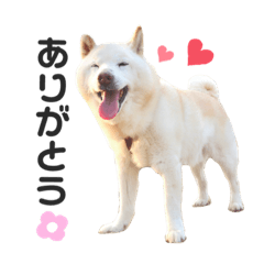 suzu_20210316204341
