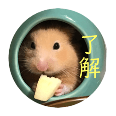 hana_20210316201938