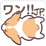 Corgi Cucci Q murmur2