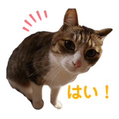 Rina_20210317040944