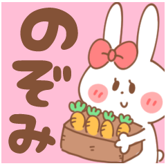 NOZOMI-Sticker