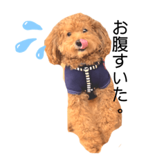 プーちゃんとマーロンくん