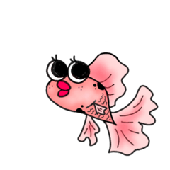 Goldfish Calico