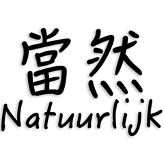Chinese and Dutch language