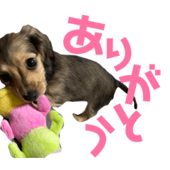 yuka_20210317113343