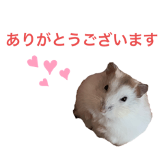 Omochi_20210317123916