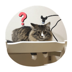 kanae_20210317152015