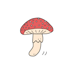 mushroom from Japan