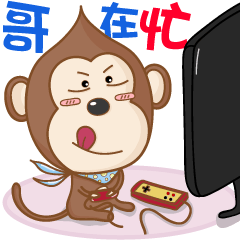 Monkey Monkey-Daily Paradise