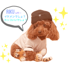 Natsumi_20210317174528