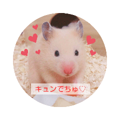 はむでちゅ - LINE スタンプ | LINE STORE