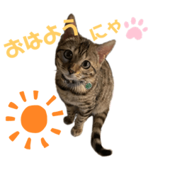 chawa_20210317223735
