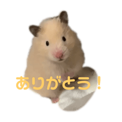 Yuto_20210318091336