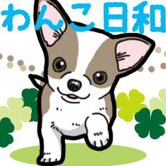 Wanko-Biyori Puppy of Chihuahua
