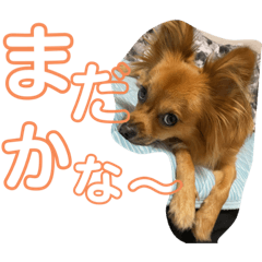 Ponzu_20210318105810