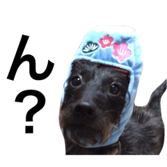 Noatan