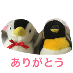 baby penguins  penn&gotsuku