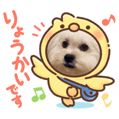 Omochi_20210318113456