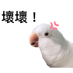 乖乖❤️❤️❤️