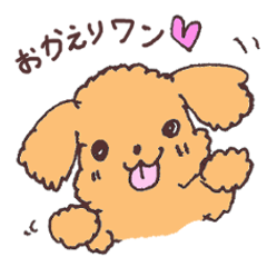 Cute dog, Toy poodle "Rayleigh"