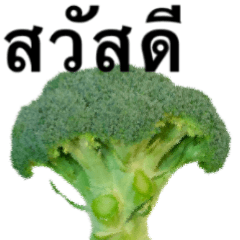 I love broccoli ! 4