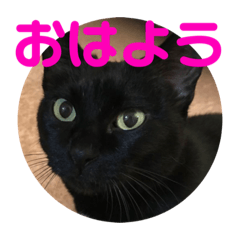 yumechan_20210318155714