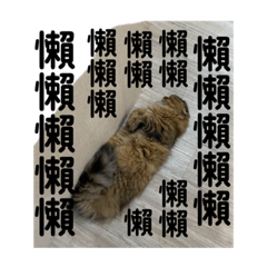 實用貼圖-萬伯篇2