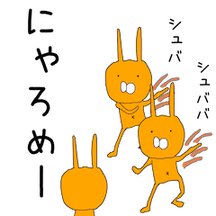 Orange rabbits