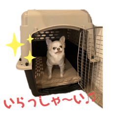 erin_20210318221126