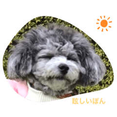 sherry_20210318201932