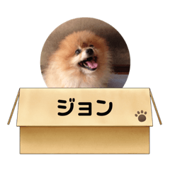 asuka_20210318190054