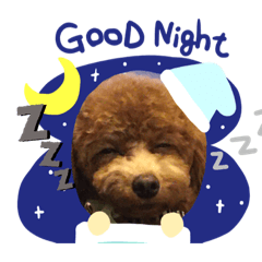 Maple_20210318215404