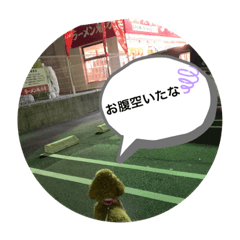 hana_202103