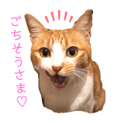 mizuki_20210319003419