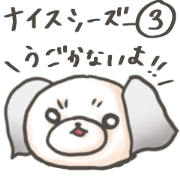 Nice ShihTzu's Nice Sticker 3