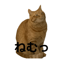 Cat Kin-chan's stamp 2
